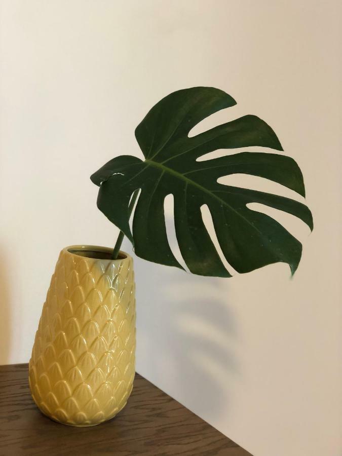 Apartamento Casa 8 Amores